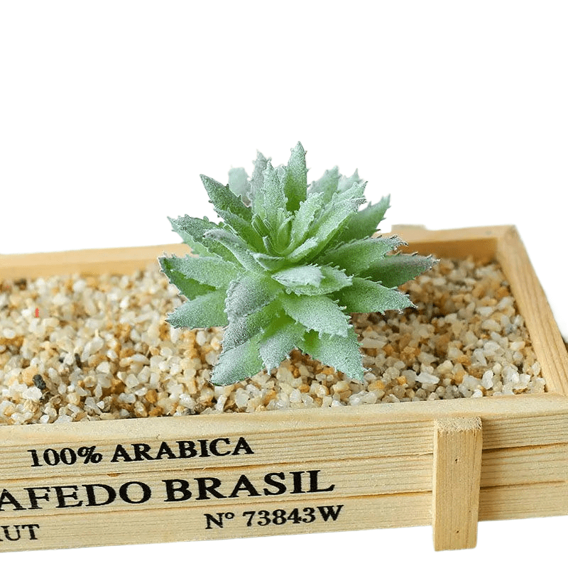 Succulentes artificielle 10 cm