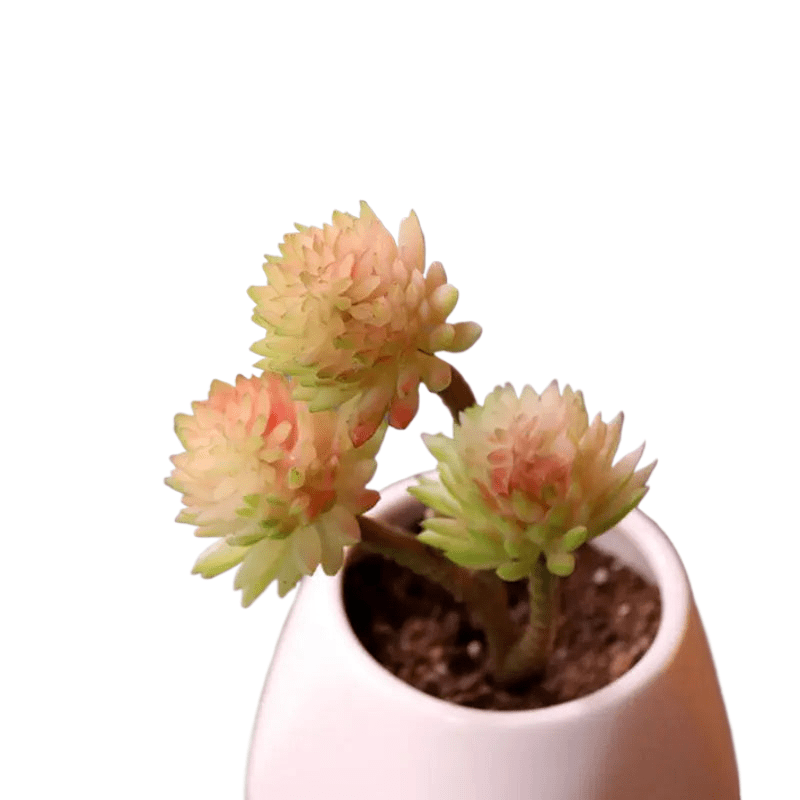Succulentes artificielle 18 cm