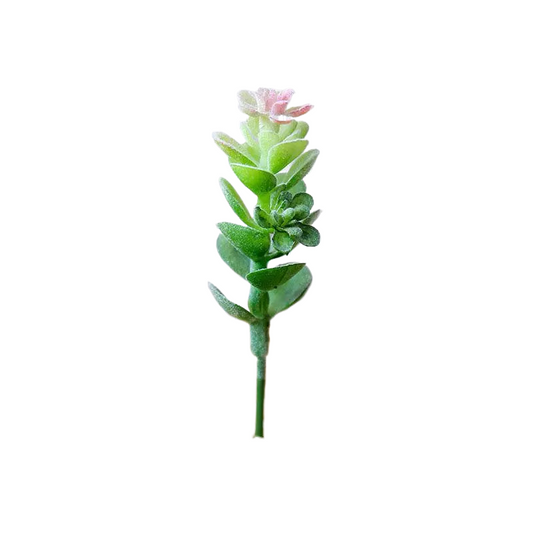 Succulentes artificielle 10 cm 