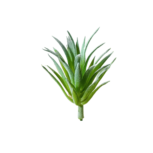 Succulentes artificielle 10 cm 