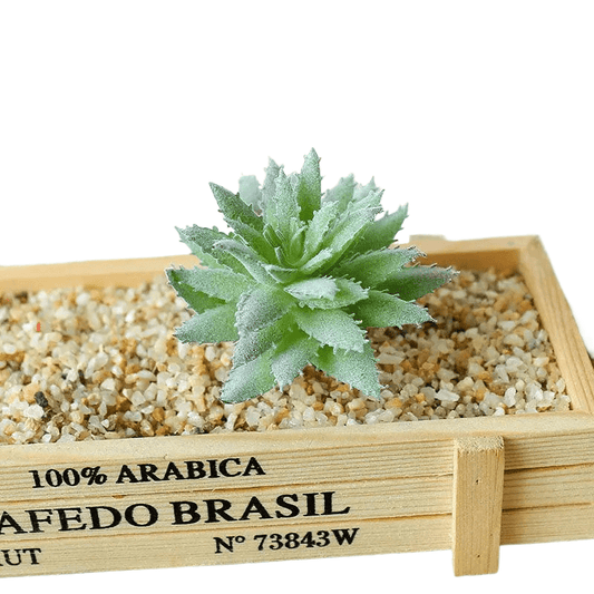 Succulentes artificielle 10 cm 