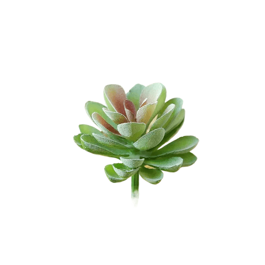 Succulentes artificielle 11 cm 