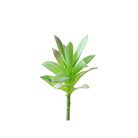 Succulentes artificielle 17 cm 