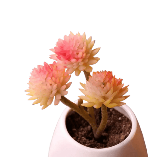 Succulentes artificielle 18 cm 