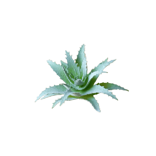 Succulentes artificielle 6.5 cm 