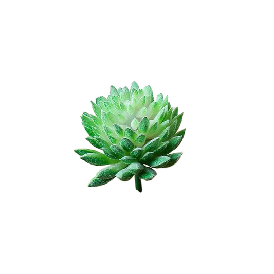 Succulentes artificielle 6 cm 