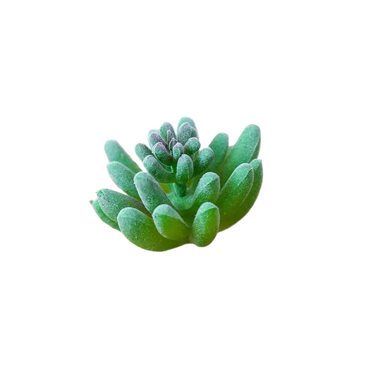 Succulentes artificielle 6 cm 