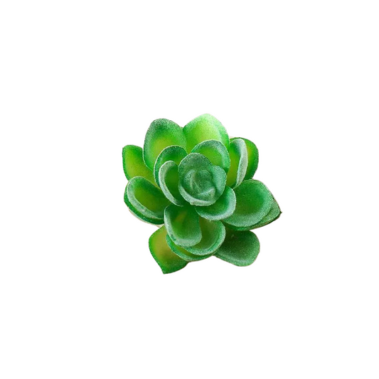 Succulentes artificielle 6 cm 