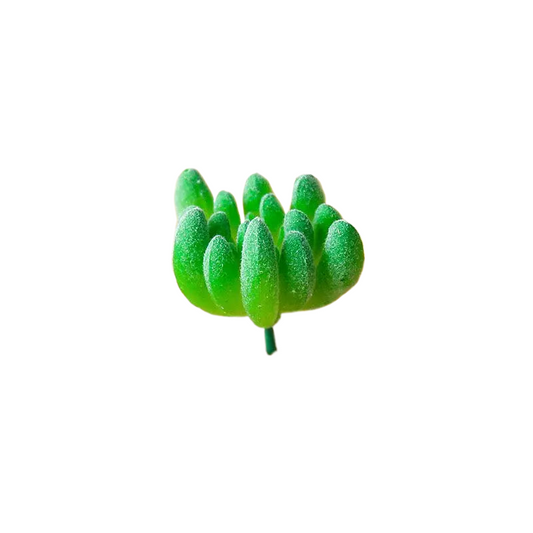 Succulentes artificielle 7.5 cm 