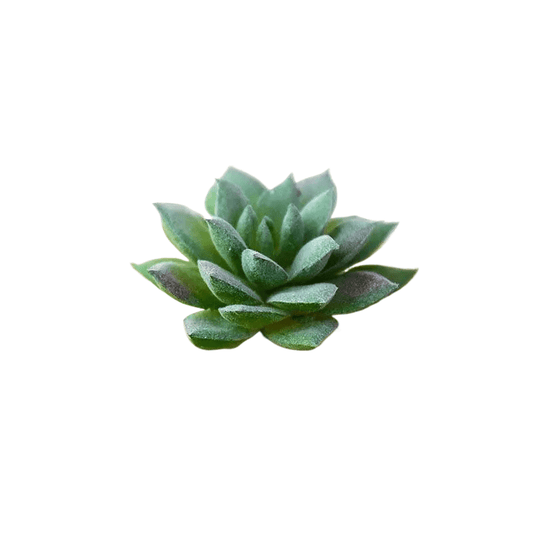 Succulentes artificielle 7 cm 