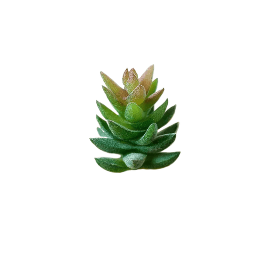 Succulentes artificielle 7 cm 