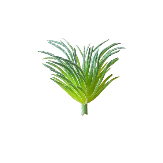 Succulentes artificielle 8 cm 