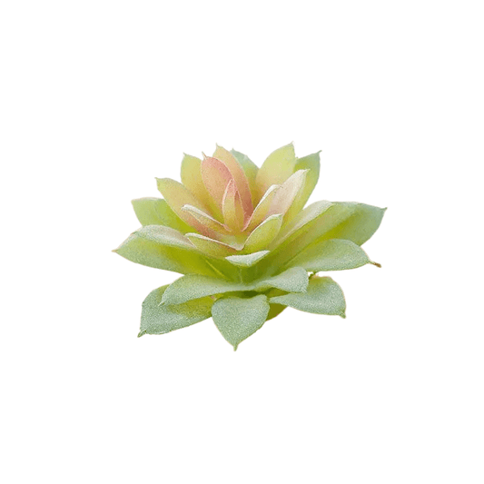 Succulentes artificielle 9 cm 