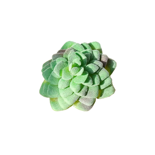 Succulentes artificielle 9 cm 