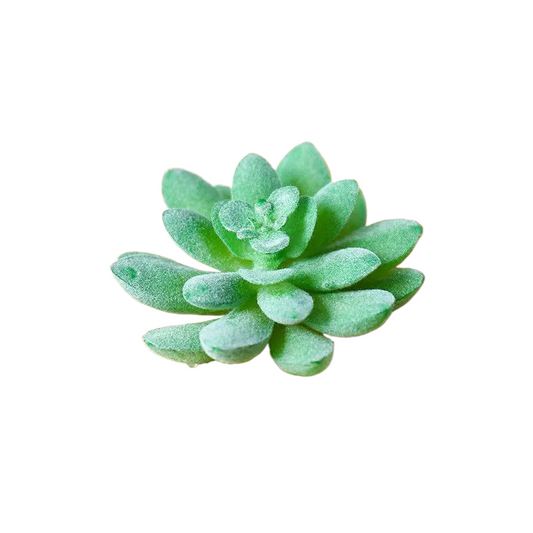 Succulentes artificielle 9 cm 