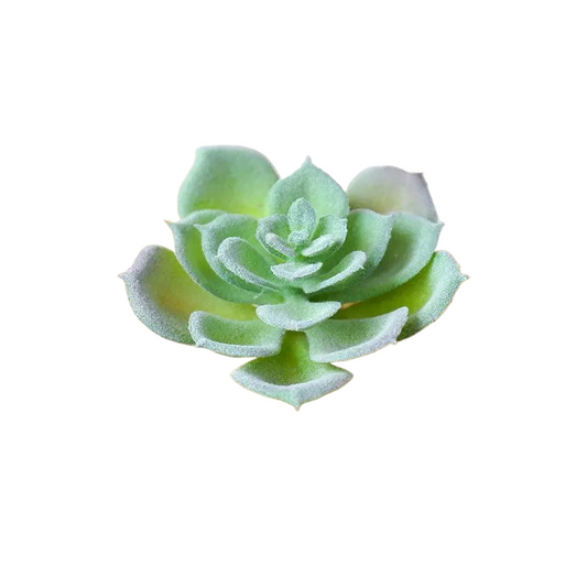 Succulentes artificielle 9 cm 